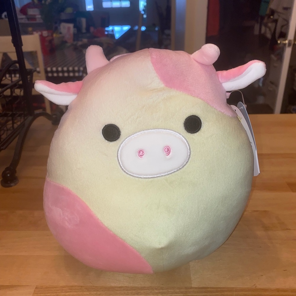 NWT 8 inch water exclusive cayden squishmallow